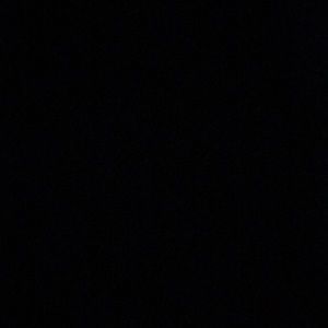 Meet your Posher, Trevor